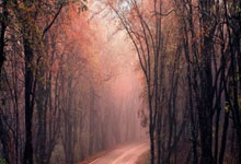 WTT世界乒联与我国体理会延长合作至2029年.