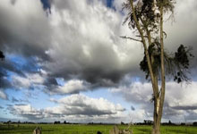 欧足联官方：奥利弗将执法欧国联法国主场对阵克罗地亚.