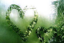 开云官网：意甲最新积分战报：博洛尼亚险胜，尤文终结连败，罗马1-0莱切.