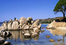 澳大利亚队进入“大莲花”踩场，备战对阵中国队的比赛.